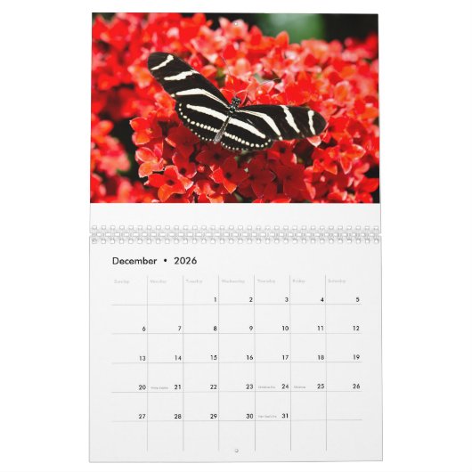 Kalender voor vogels, vlinders en bloemen (Dec 2026)