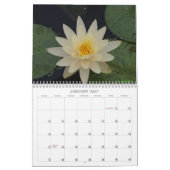 Kalender voor waterlelies (Jan 2027)