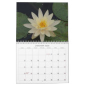 Kalender voor waterlelies (Jan 2026)