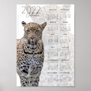 Kalender voor wilde dieren 2022 poster