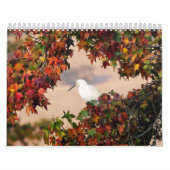 Kalender voor wilde dieren en vogels (Hoes)