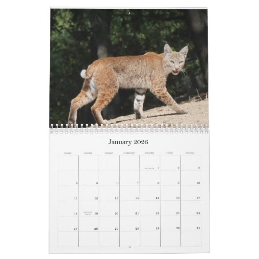 Kalender voor wilde dieren en vogels (Jan 2026)