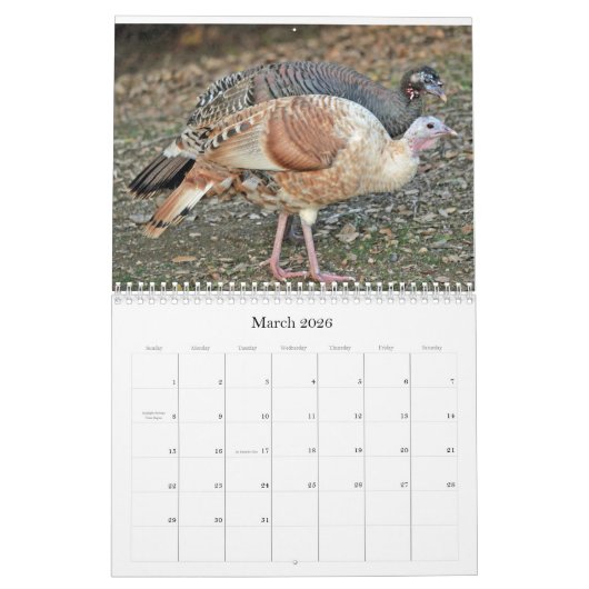 Kalender voor wilde dieren en vogels (Mar 2026)