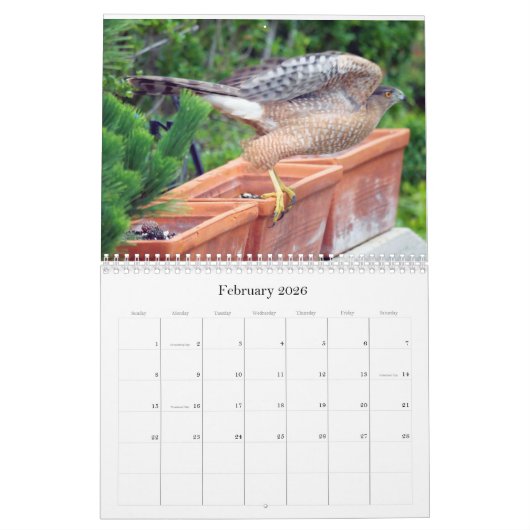 Kalender voor wilde dieren en vogels (Feb 2026)