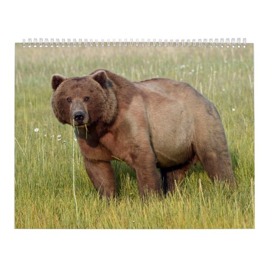 Kalender voor wilde dieren in Alaska (Hoes)