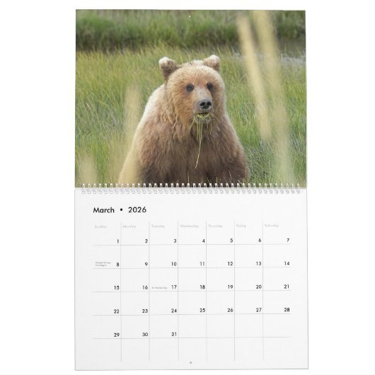 Kalender voor wilde dieren in Alaska (Mar 2026)