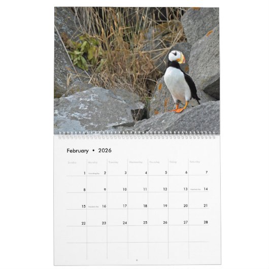 Kalender voor wilde dieren in Alaska (Feb 2026)