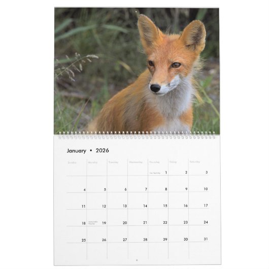 Kalender voor wilde dieren in Alaska (Jan 2026)