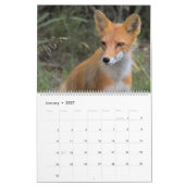 Kalender voor wilde dieren in Alaska (Jan 2027)