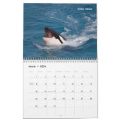 Kalender voor zeezoogdieren (Mar 2026)