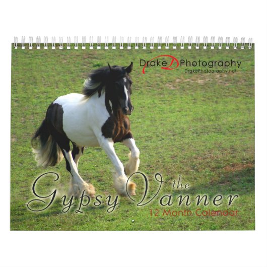 Kalender voor zigeunerpaarden (Hoes)
