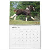 Kalender voor zigeunerpaarden (Feb 2027)