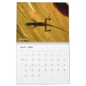 Kalender voor zoete lizards (Mar 2026)