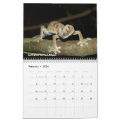 Kalender voor zoete lizards (Feb 2026)