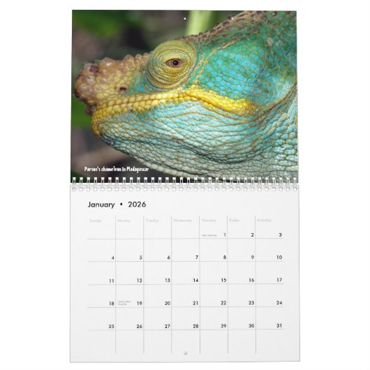 Kalender voor zoete lizards (Jan 2026)