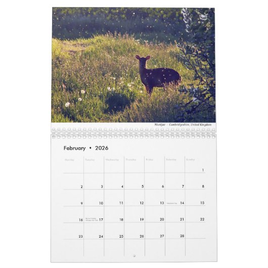Kalender voor zoogdieren 2021 door Chris Milligan (Feb 2026)