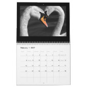 Kalender voor zwemmers en cygnets (Feb 2027)