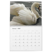 Kalender voor zwemmers en cygnets (Jan 2027)