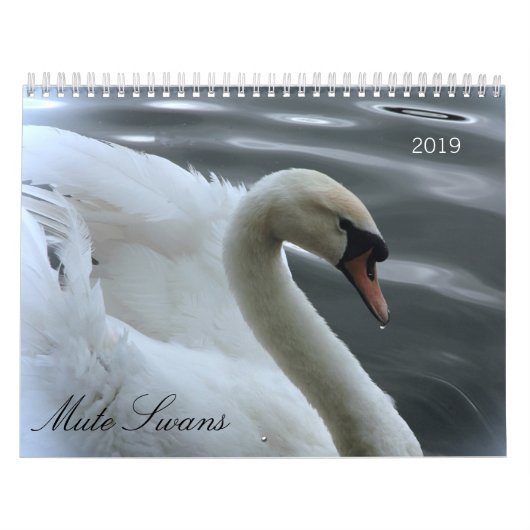 Kalender voor zwemmers en cygnets (Hoes)