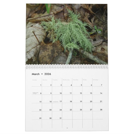 Kalender - vriendelijk bos (Mar 2026)