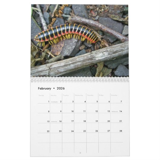 Kalender - vriendelijk bos (Feb 2026)