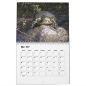 Kalender-Wasserschildkröten Kalender (Mar 2027)