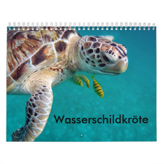 Kalender-Wasserschildkröten Kalender