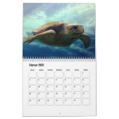 Kalender-Wasserschildkröten Kalender (Feb 2026)