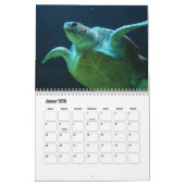 Kalender-Wasserschildkröten Kalender (Jan 2026)