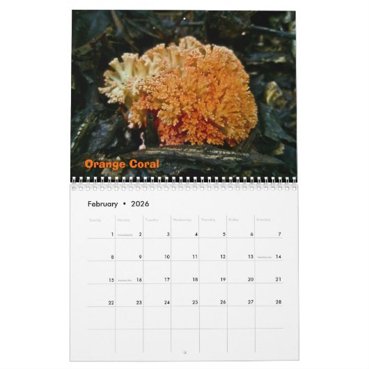 Kalender Weird paddenstoelen (Feb 2026)