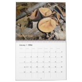 Kalender Weird paddenstoelen (Jan 2026)