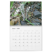 Kalender Weird paddenstoelen (Mar 2027)