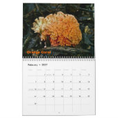 Kalender Weird paddenstoelen (Feb 2027)