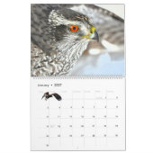 Kalender 'Wild at Last' 2026 (Jan 2027)