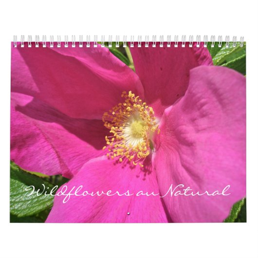 Kalender - Wildbloemen au Natural (Hoes)