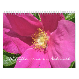 Kalender - Wildbloemen au Natural