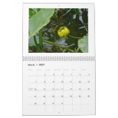 Kalender - Wildbloemen au Natural (Mar 2027)