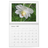 Kalender - Wildbloemen au Natural (Jan 2027)