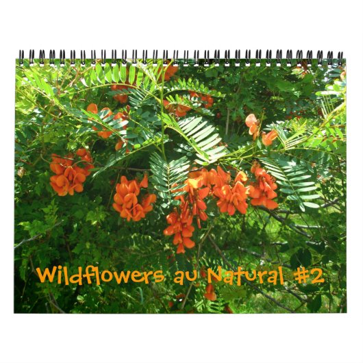 Kalender - Wildbloemen au Natural #2 (Hoes)