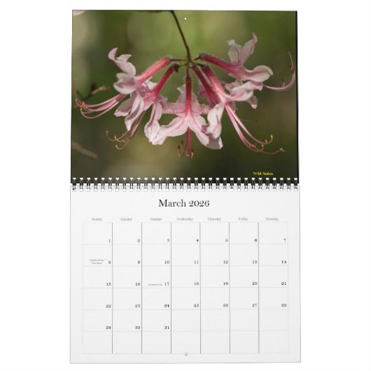 Kalender - Wilde bloemen - Macro - Uitzicht (Mar 2026)