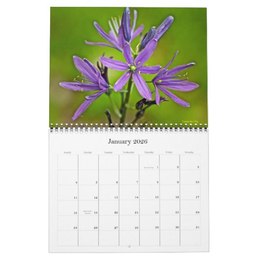 Kalender - Wilde bloemen - Macro - Uitzicht (Jan 2026)