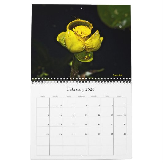 Kalender - Wilde bloemen - Macro - Uitzicht (Feb 2026)