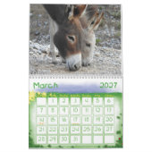 Kalender, Wilde Burros van het Zuidwesten van de w Kalender (Mar 2027)