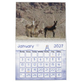 Kalender, Wilde Burros van het Zuidwesten van de w Kalender (Jan 2027)