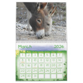 Kalender, Wilde Burros van het Zuidwesten van de w Kalender (Mar 2026)