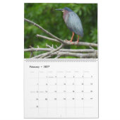 Kalender Wilde Dieren, Watervogels, Reigers (Feb 2027)
