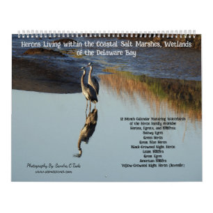 Kalender Wilde Dieren, Watervogels, Reigers