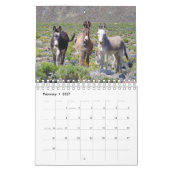 Kalender, wilde dieren, wilde buren, ezels kalender (Feb 2027)