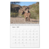 Kalender, wilde dieren, wilde buren, ezels kalender (Mar 2027)