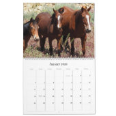 Kalender, wilde dieren, wilde paarden, Verenigde S Kalender (Jan 2026)